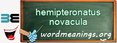 WordMeaning blackboard for hemipteronatus novacula